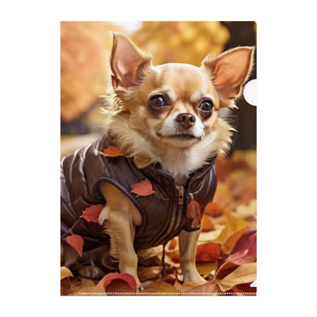 チワワ愛好家ショップの鮮やかな紅葉の中で、チワワは華やかな装いでお披露目 Clear File Folder