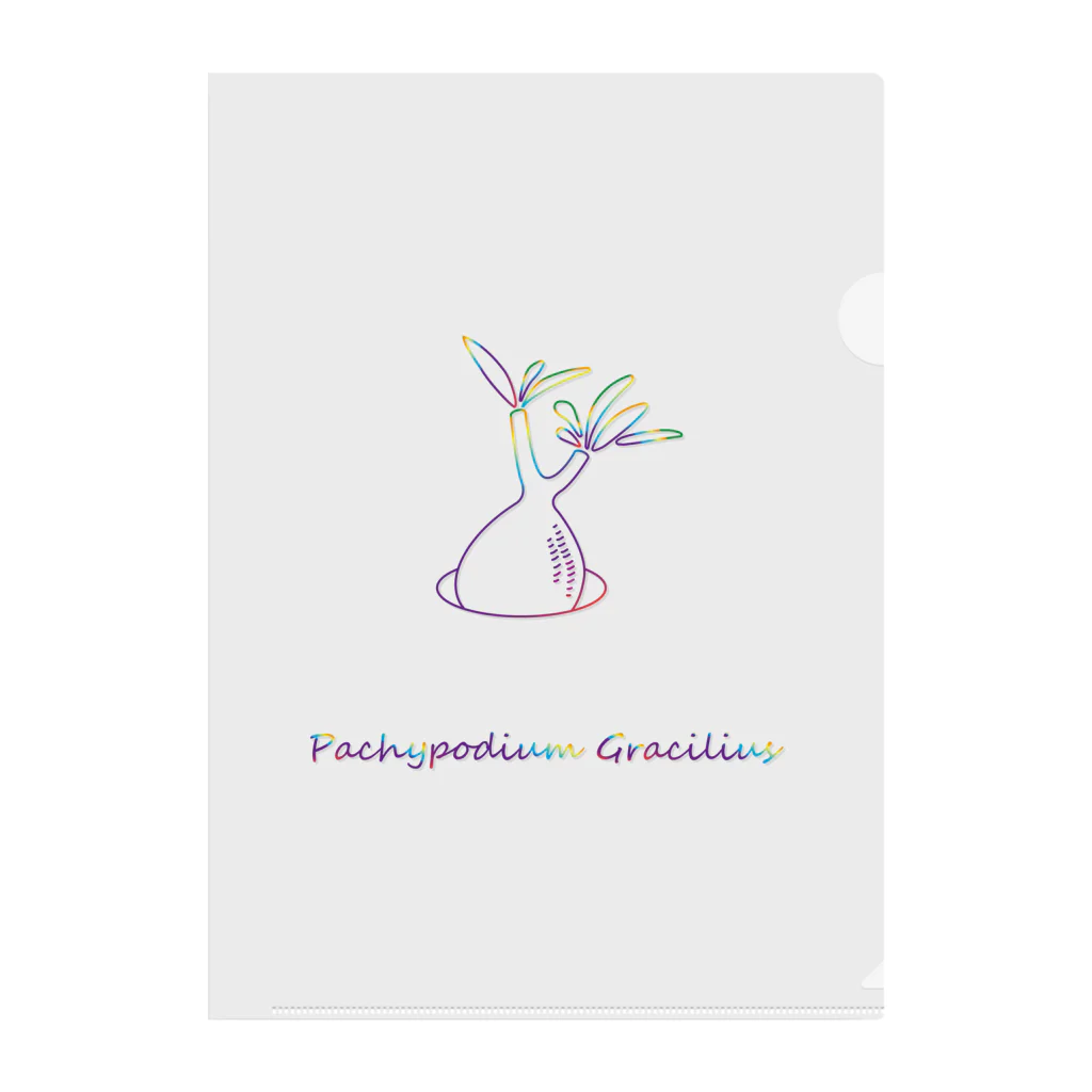 y_s_k_のPachypodium Gracilius Clear File Folder