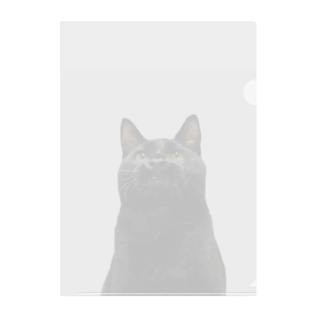 ８９６の黒猫 Clear File Folder