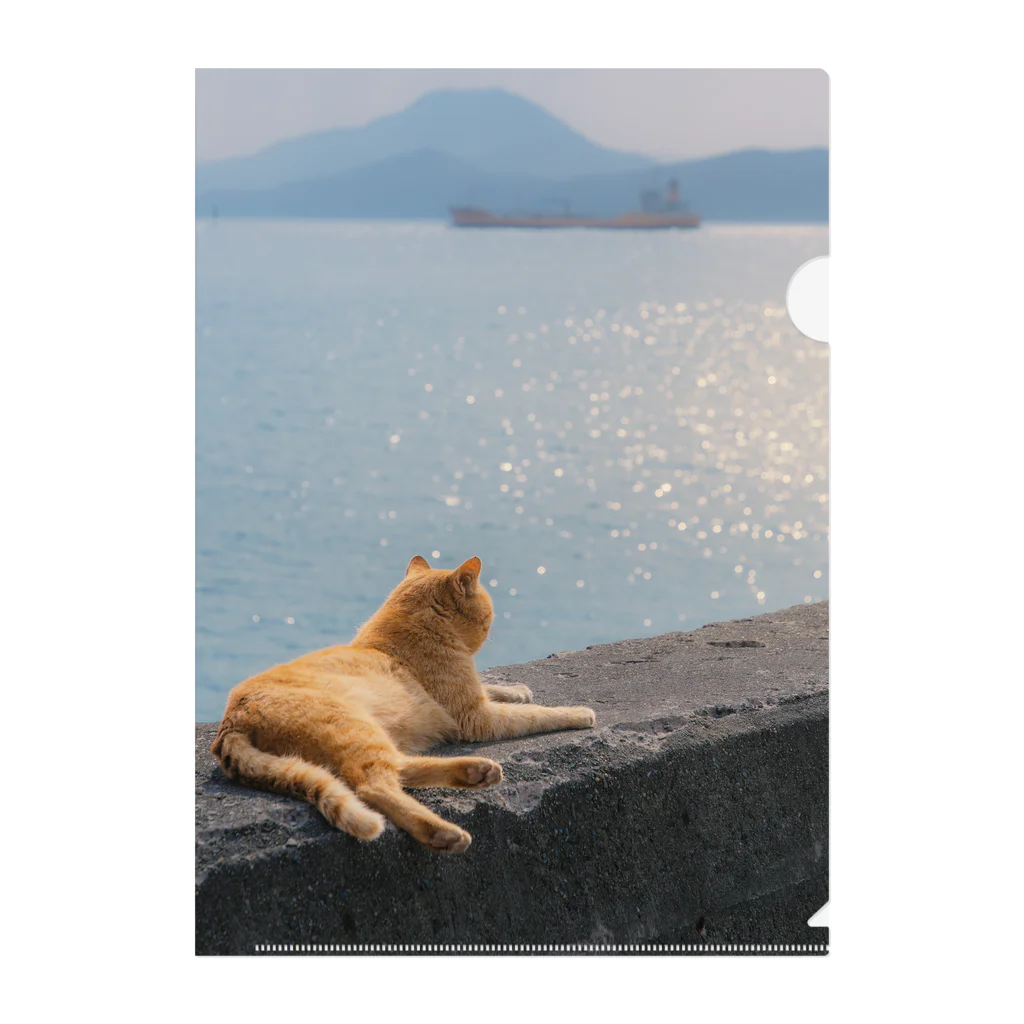 Ryoppi_neko_photoのRyoppi_neko_goods-3 Clear File Folder