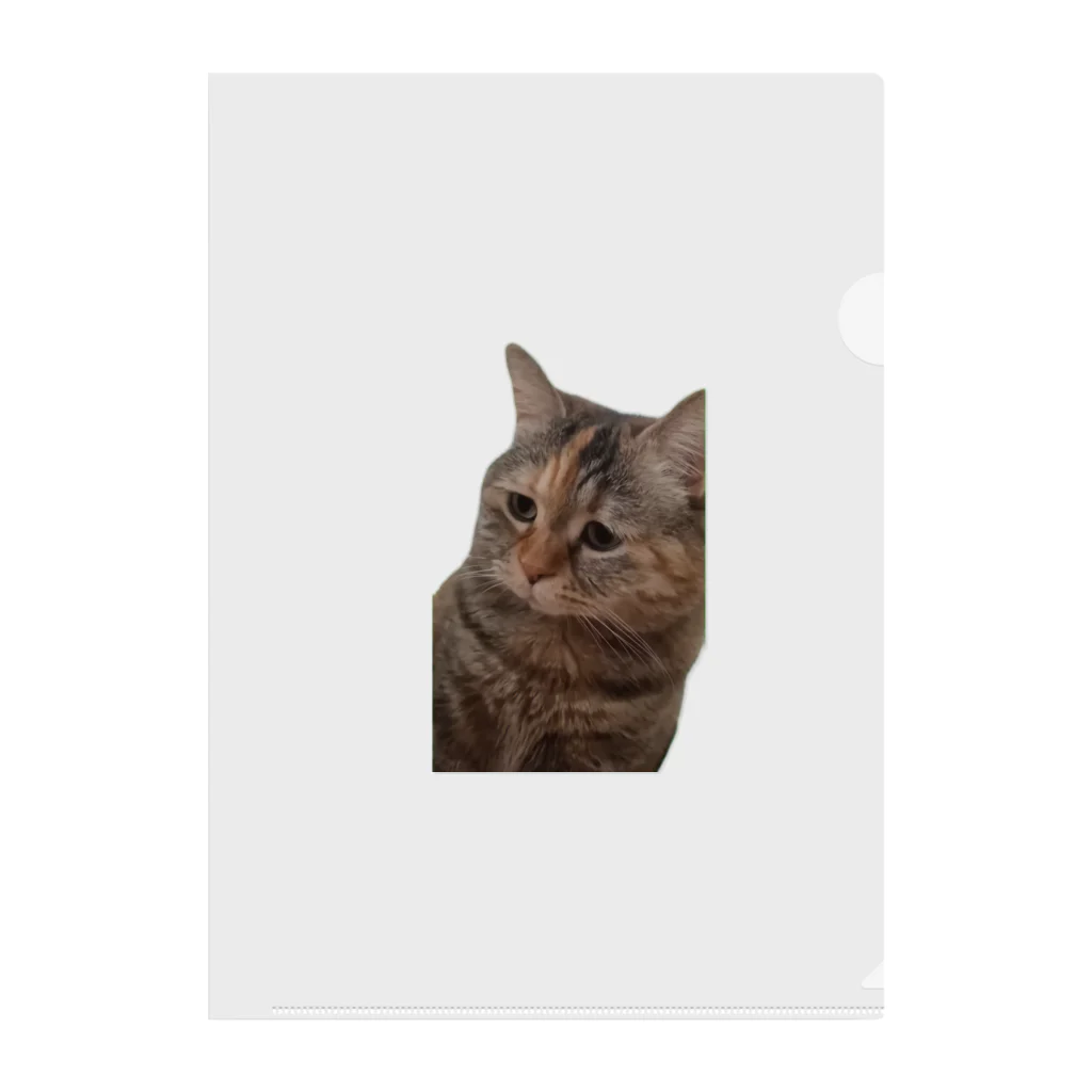 猫ミームグッズの【猫ミーム】叱られる猫 クリアファイル