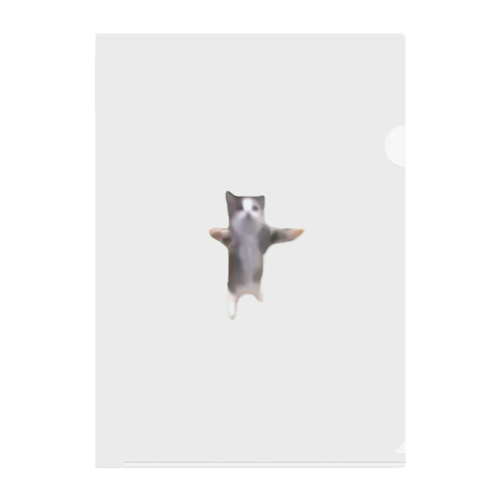 猫ミームグッズの【猫ミーム】Happy Happy Cat Clear File Folder