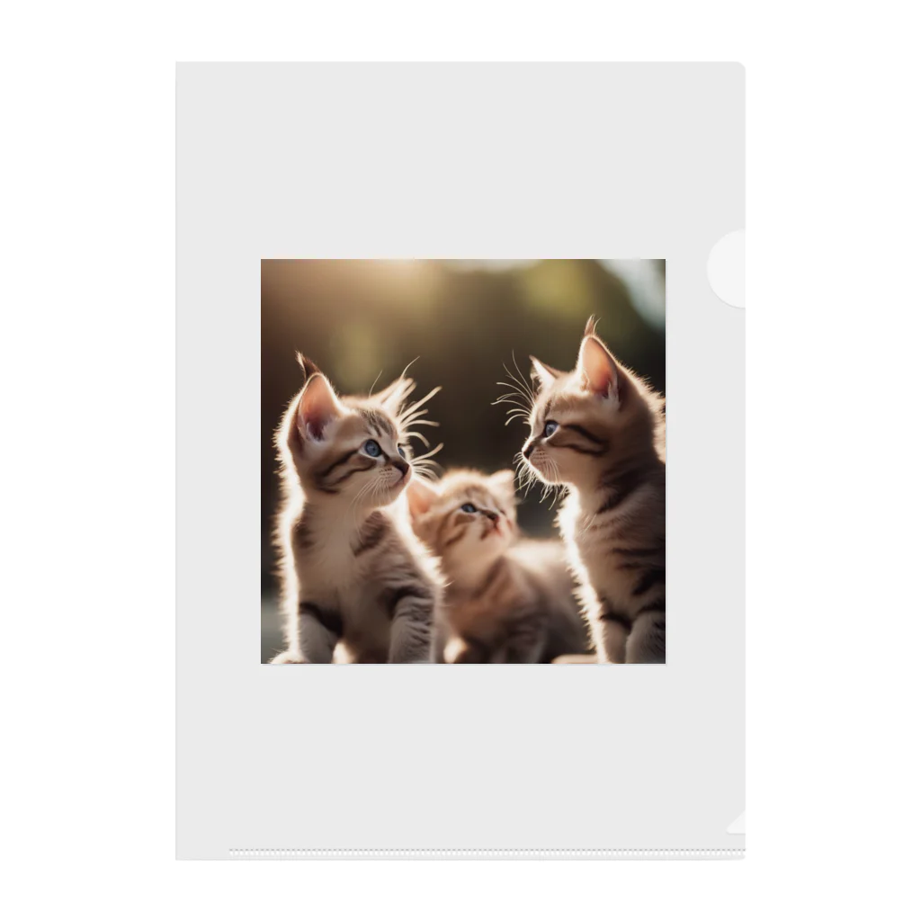 pom5の昼下がりの子猫たち Clear File Folder