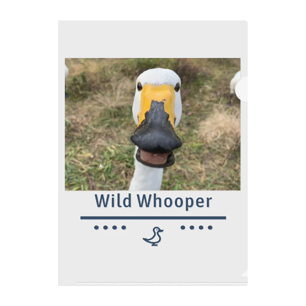 wild whooper (白鳥堂)の白鳥（目が合った) Clear File Folder