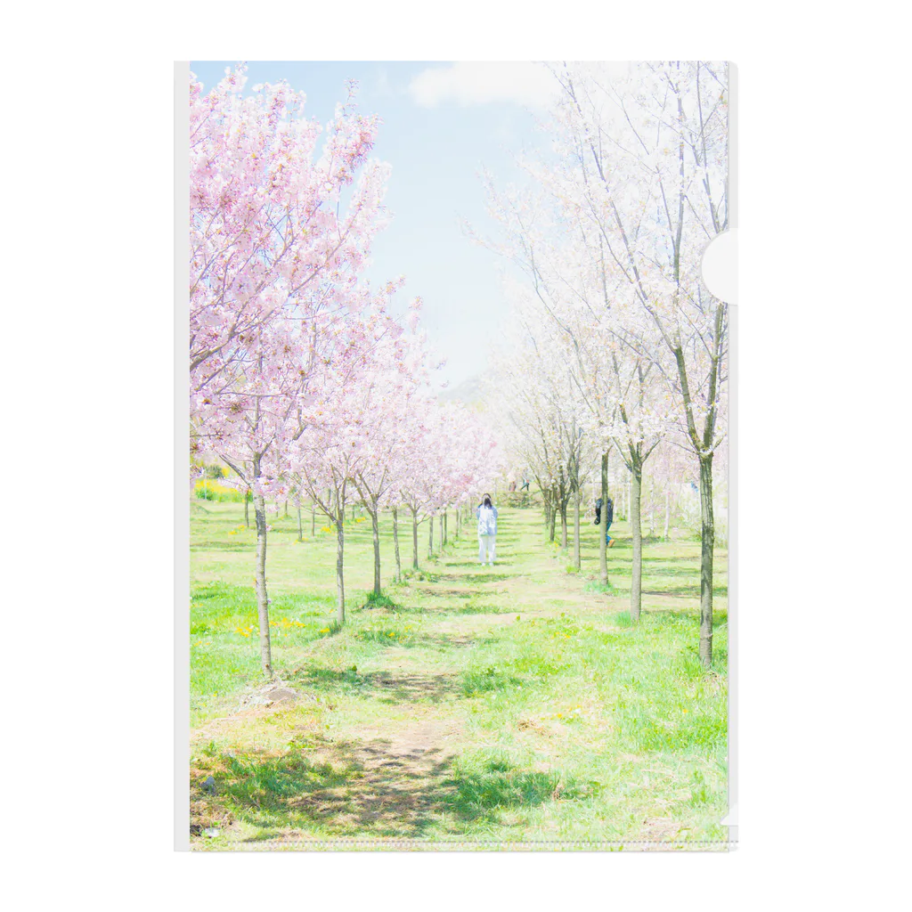 photograsy15の桜と少女 Clear File Folder