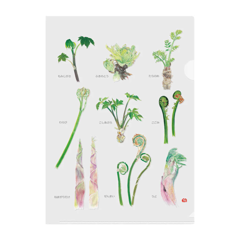 外山康雄　野の花館の美味しい山菜、木の芽がないけど Clear File Folder