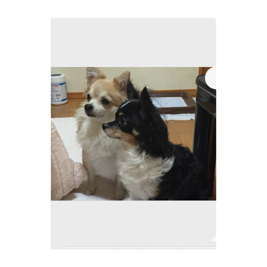 Yukaの絵と実家の犬🐕のチワワの小夏とイヴ Clear File Folder