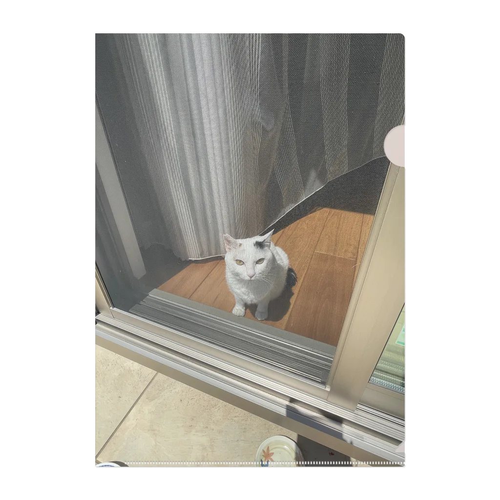 ねこやまさんの外をみるすず Clear File Folder