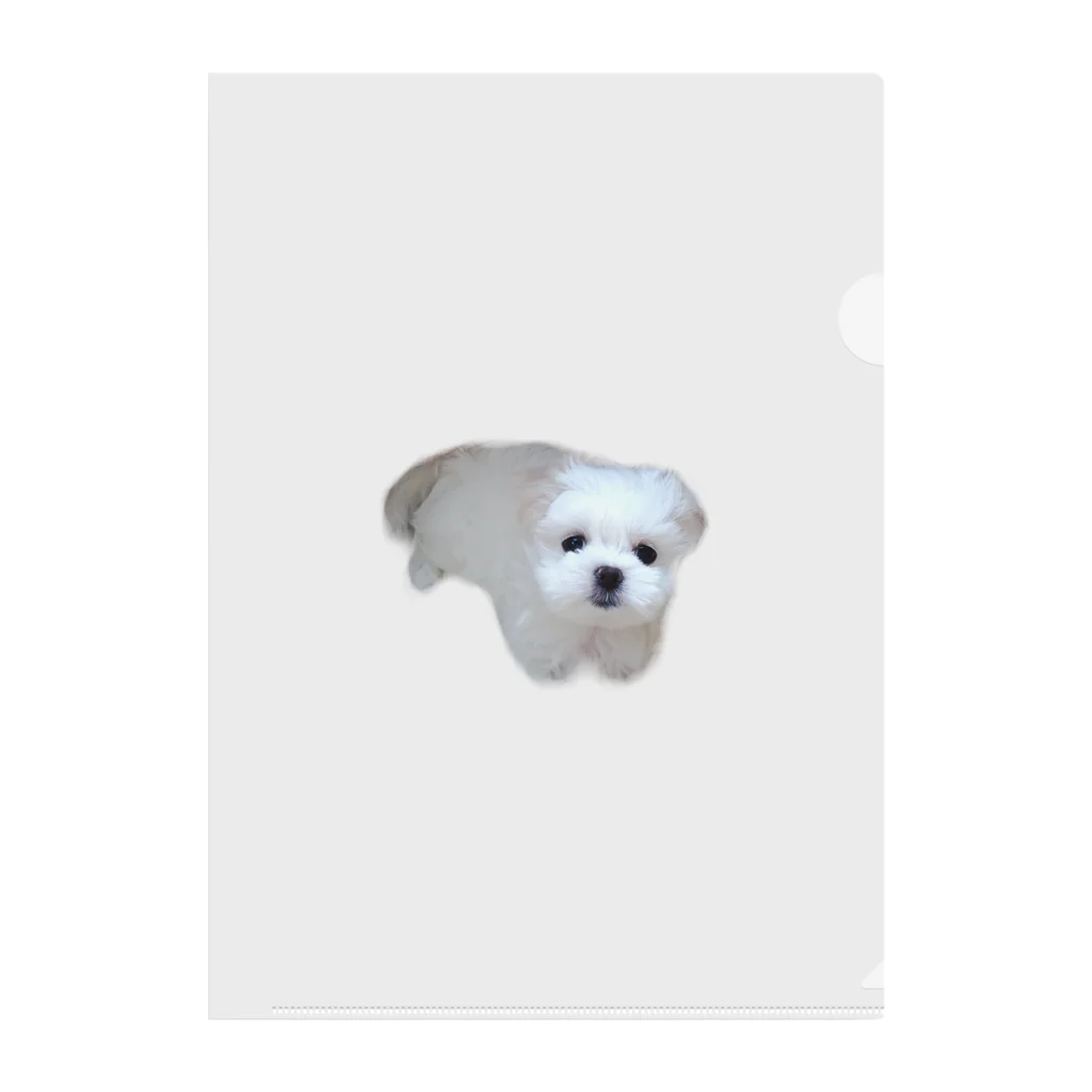 のののののミルクが家族になった日🐶 Clear File Folder