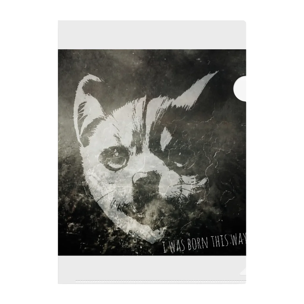 D7C7DC?B1のdog?cat? Clear File Folder