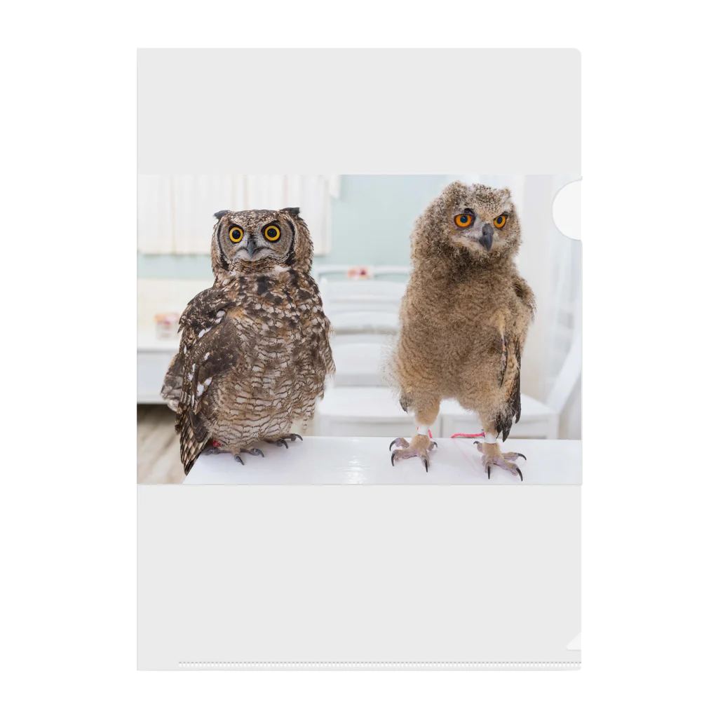 いおりとチャンネル🦉のいお🦉りと🦉 Clear File Folder