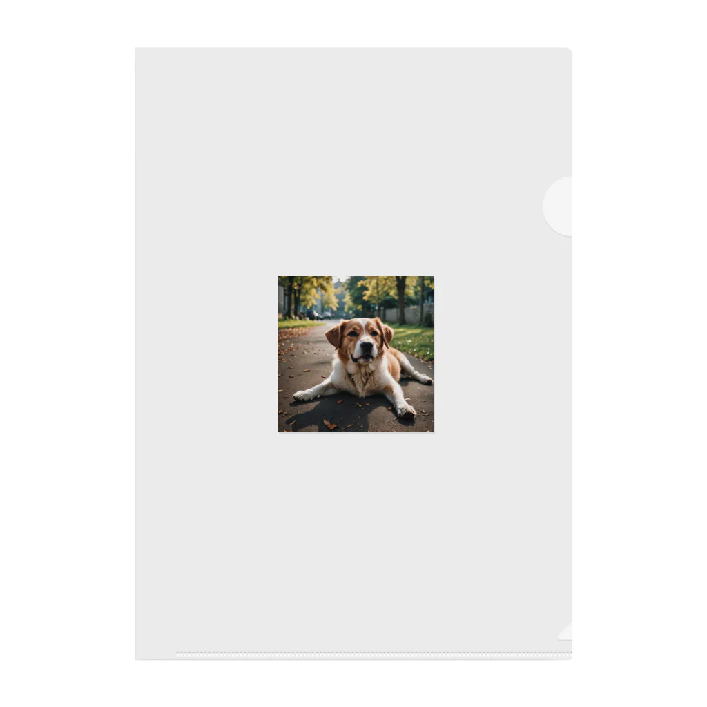 kokin0の足を広げて座る犬 Clear File Folder