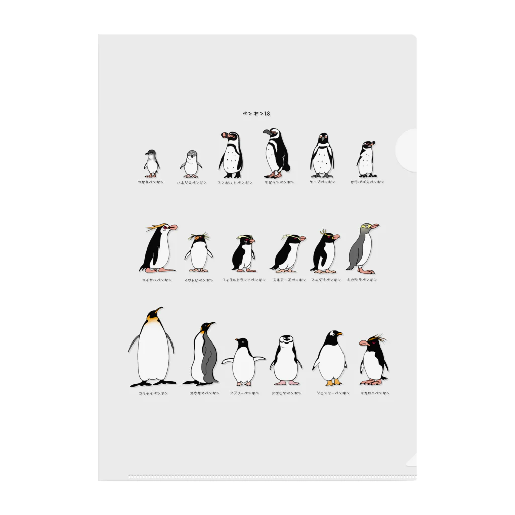 空とぶペンギン舎のペンギン18種類 Clear File Folder