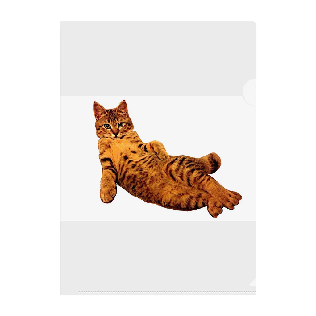 Elegant CatのElegant Cat ③ Clear File Folder