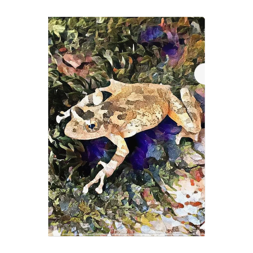 Fantastic FrogのFantastic Frog -Geode Version- Clear File Folder