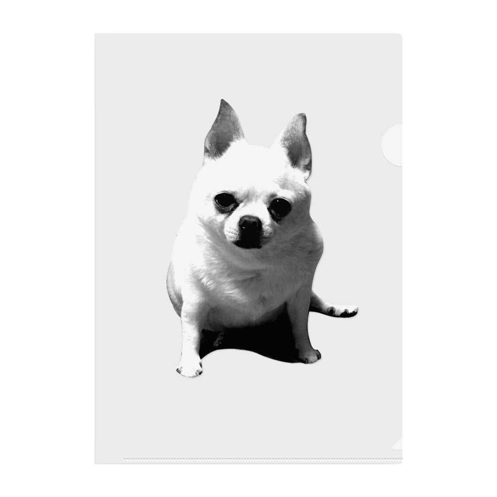 The Fat Dog 1 デブ犬画像ショップ Debchip0618 のクリアファイル通販 Suzuri スズリ The Fat Dog 1 デブ犬画像ショップ Debchip0618 のクリアファイル通販 Suzuri スズリ