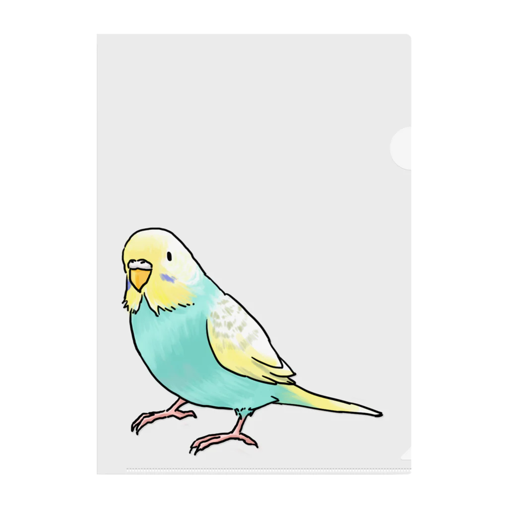 まめるりはことりのごきげんセキセイインコ【まめるりはことり】 クリアファイル