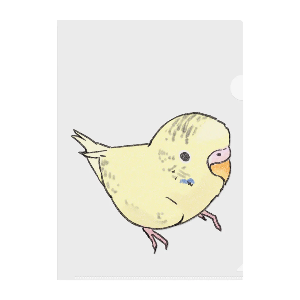 まめるりはことりの可愛いセキセイインコ　おすましちゃん【まめるりはことり】 クリアファイル