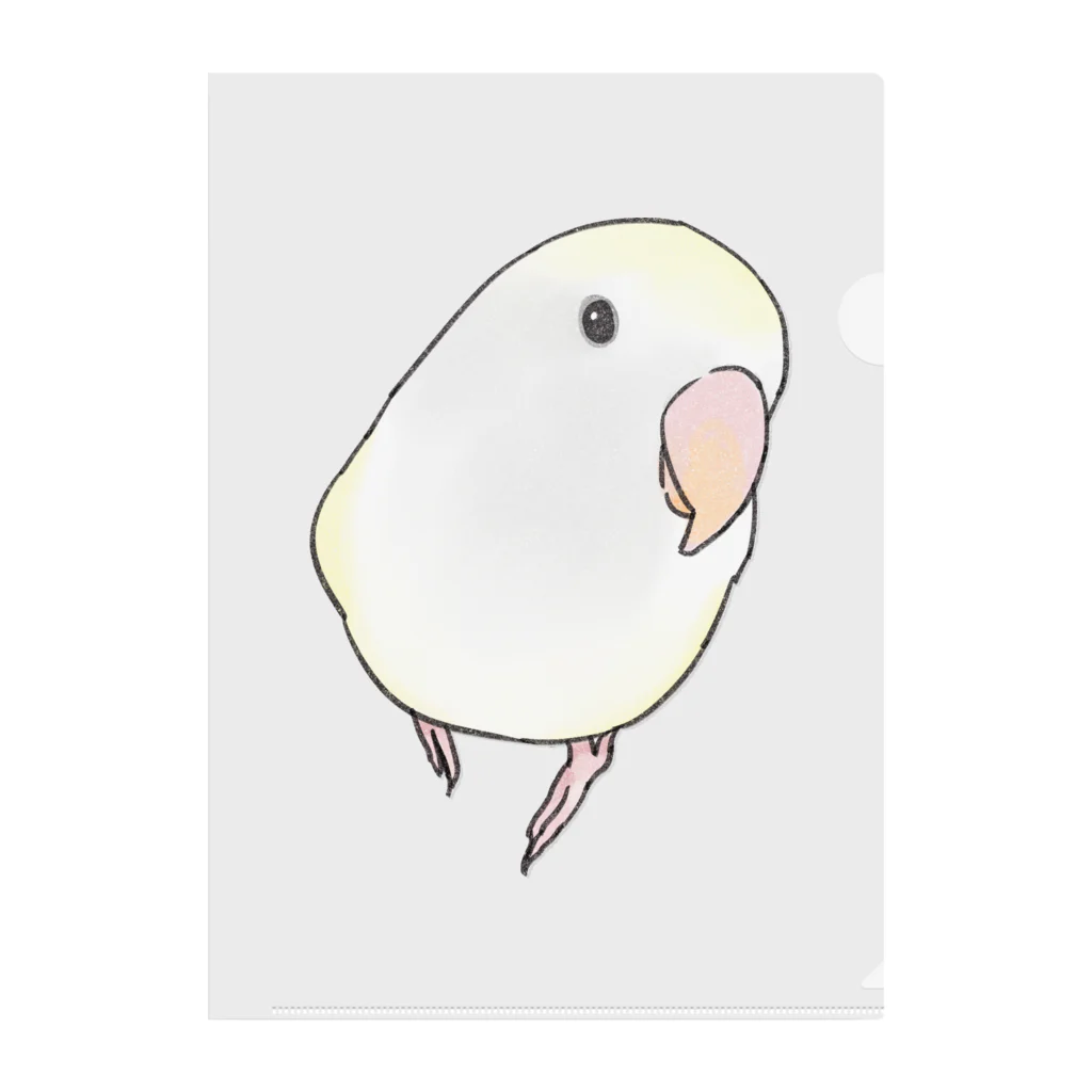 まめるりはことりのコザクラインコ　バイオレットパイドちゃん【まめるりはことり】 Clear File Folder