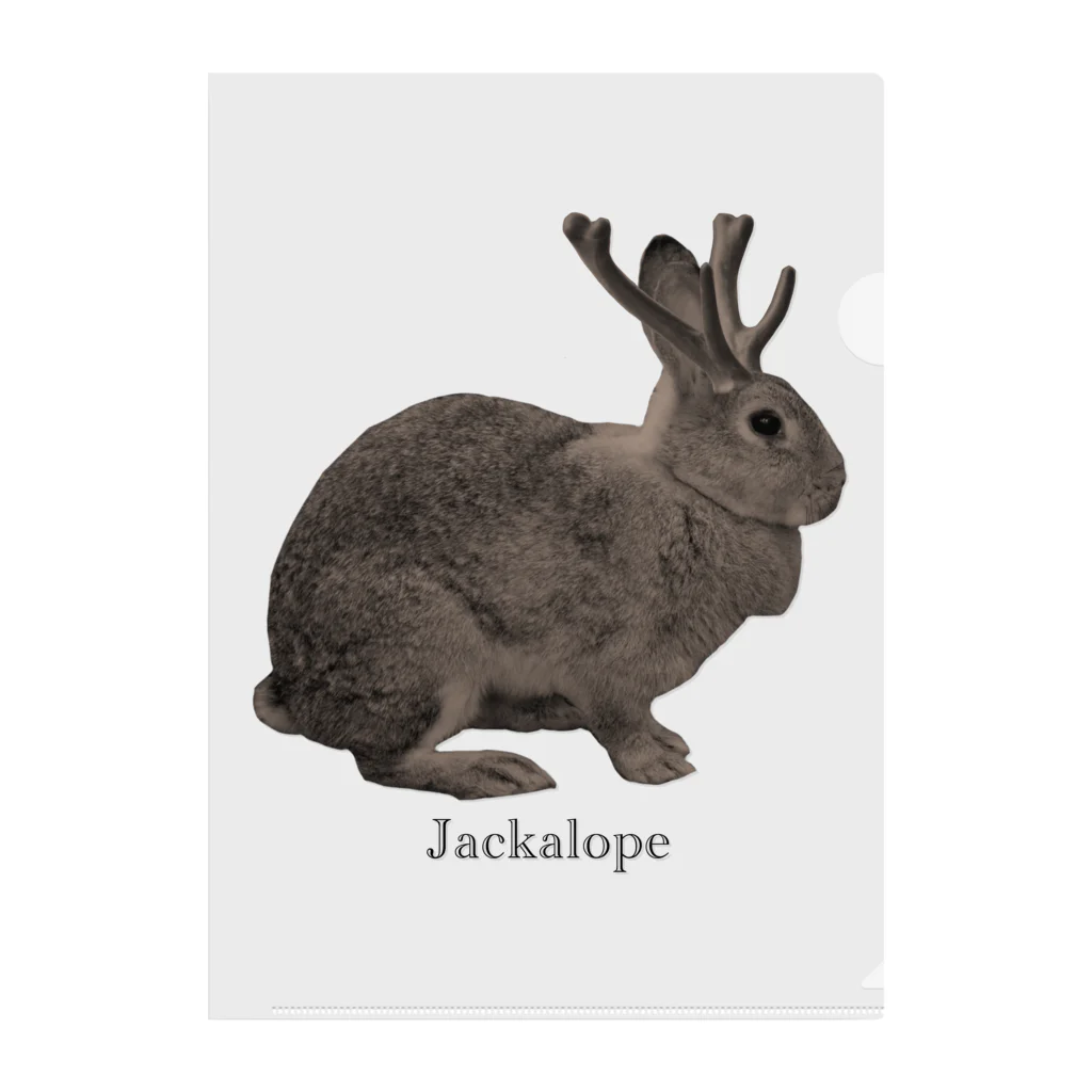 Jackalope Houseの未確認動物 クリアファイル