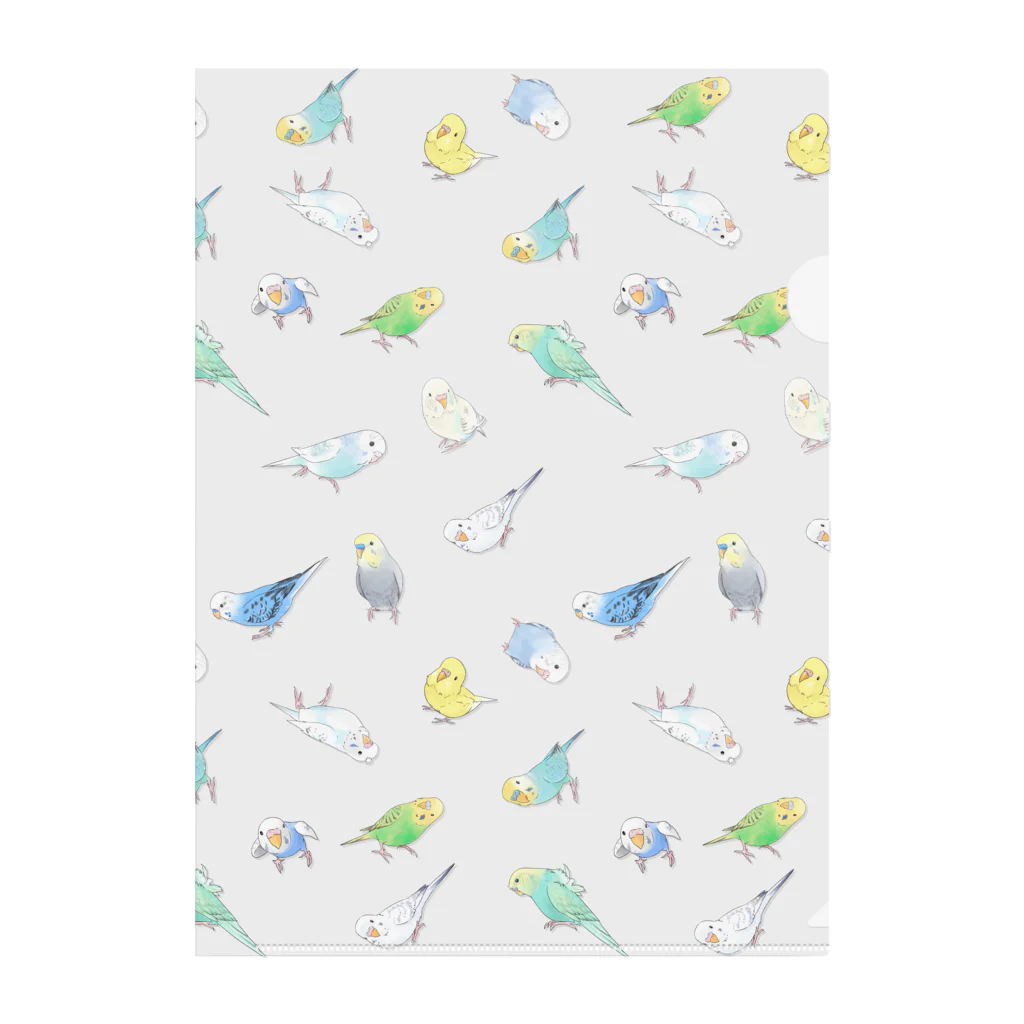 まめるりはことりのたっぷりセキセイインコちゃん【まめるりはことり】 Clear File Folder