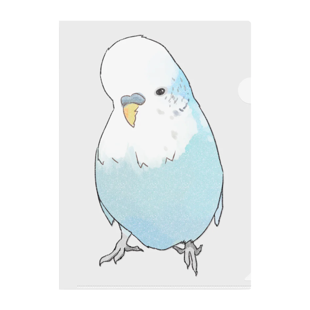 まめるりはことりの可愛いジャンボセキセイインコ【まめるりはことり】 Clear File Folder