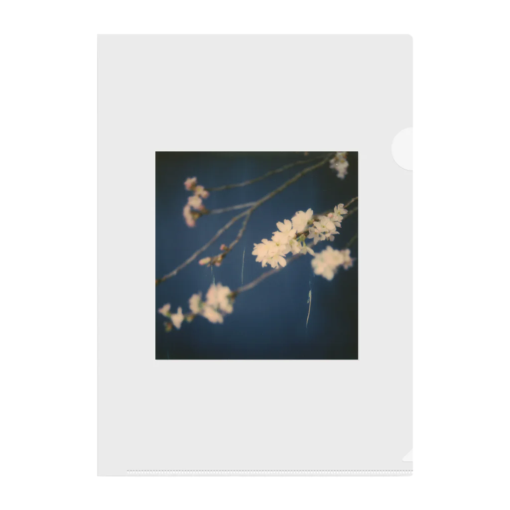 Petrichorの夜桜 Clear File Folder