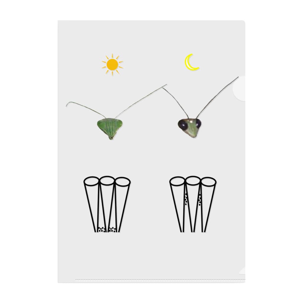 カマキリの昼と夜の複眼 絵文字 背景透過ver L Arctoaのクリアファイル通販 Suzuri スズリ カマキリの昼と夜の複眼 絵文字 背景透過ver L Arctoaのクリアファイル通販 Suzuri スズリ