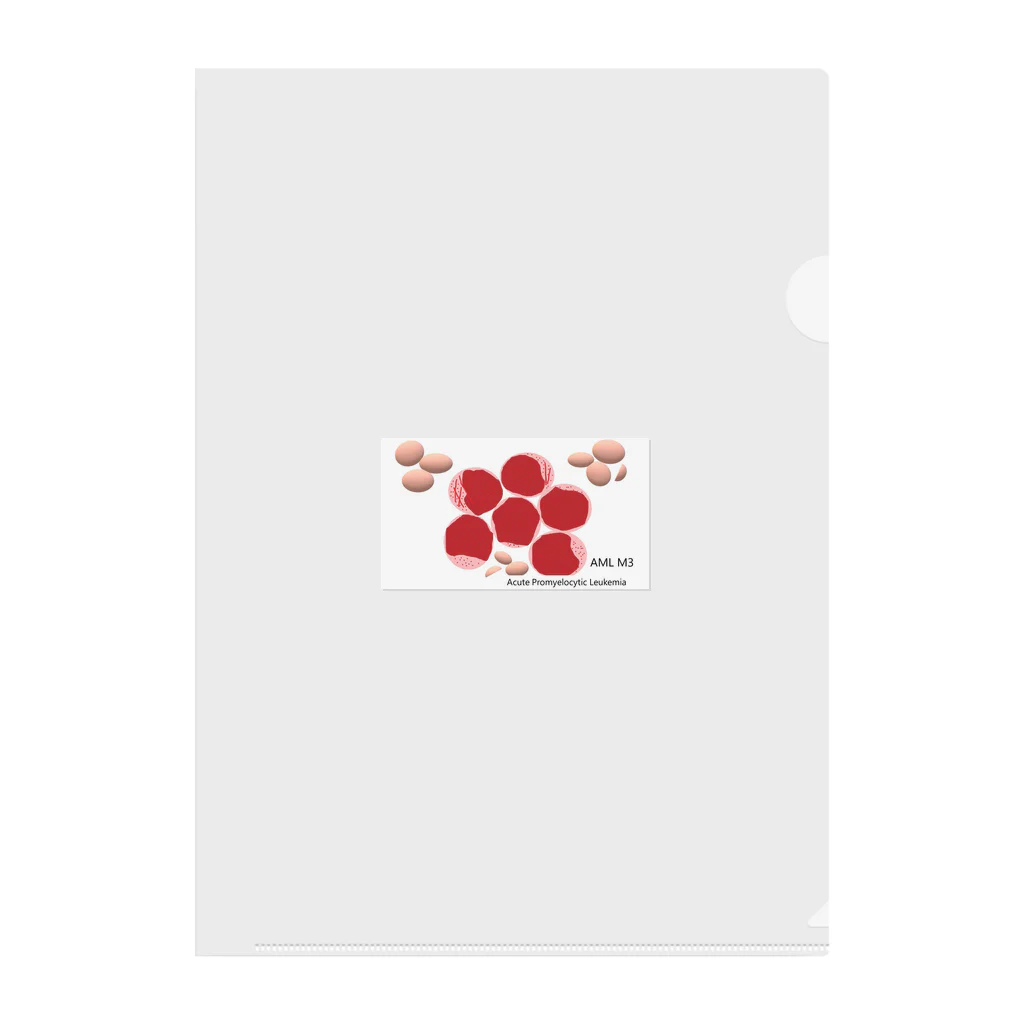 MedTechのAcute Promyelocytic Leukemia Clear File Folder