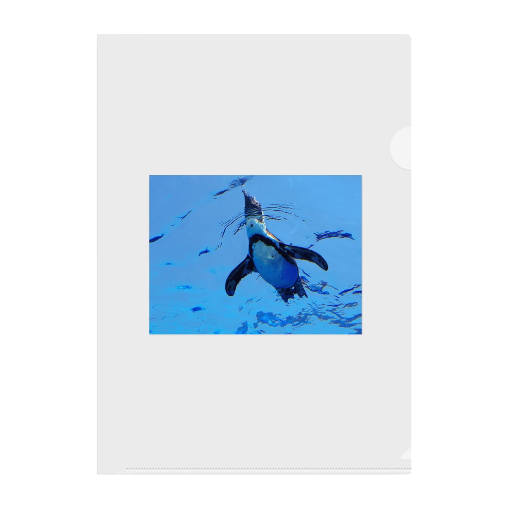 空飛ぶペンギン Studio Blue Studiobluekumi のクリアファイル通販 Suzuri スズリ