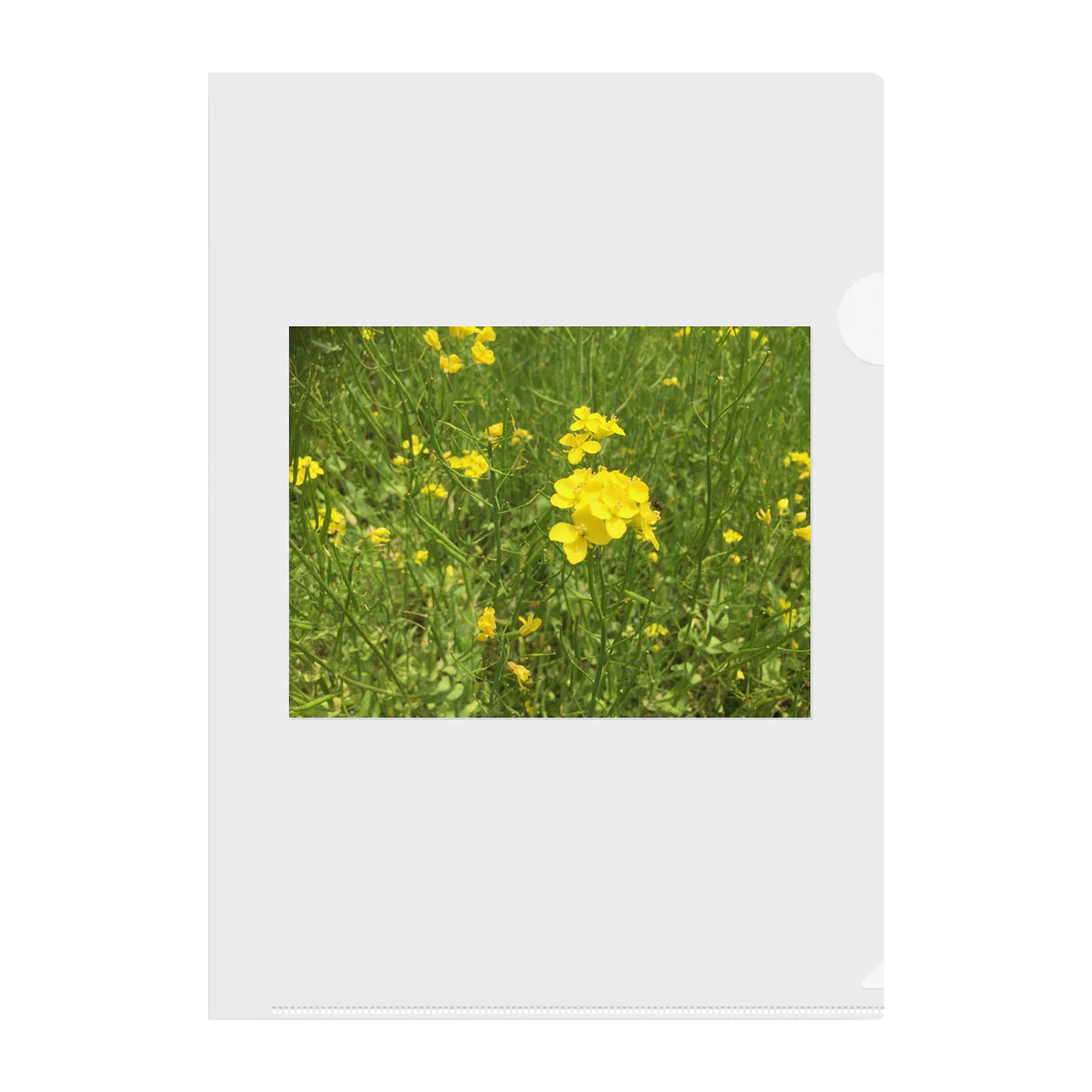 Studio  BLUEのFlowers Clear File Folder