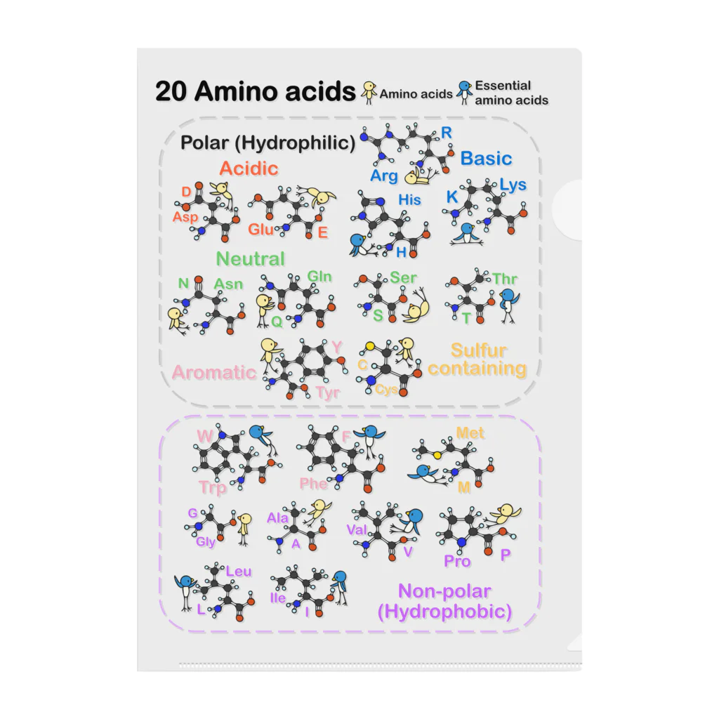 みずしまワークスの20アミノ酸ぴよ(背景透明) クリアファイル