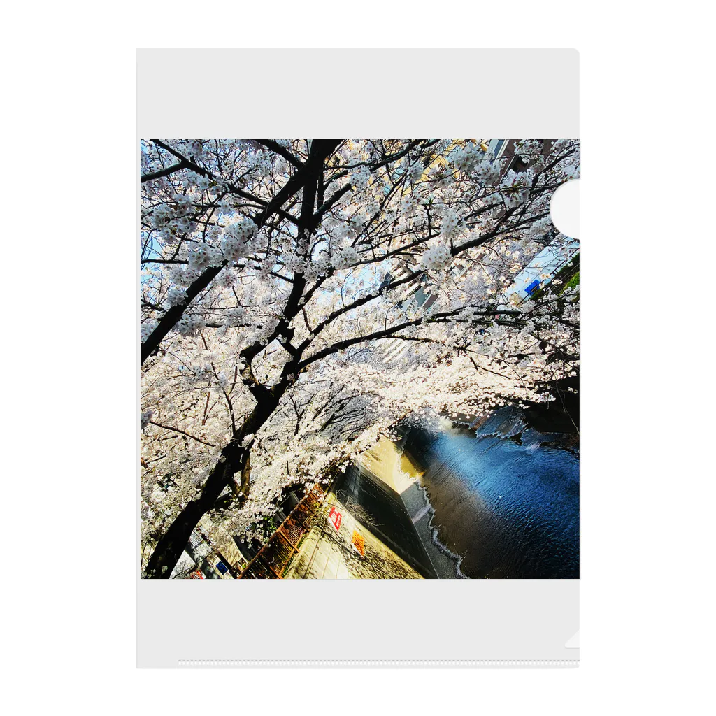 ppmの桜 Clear File Folder