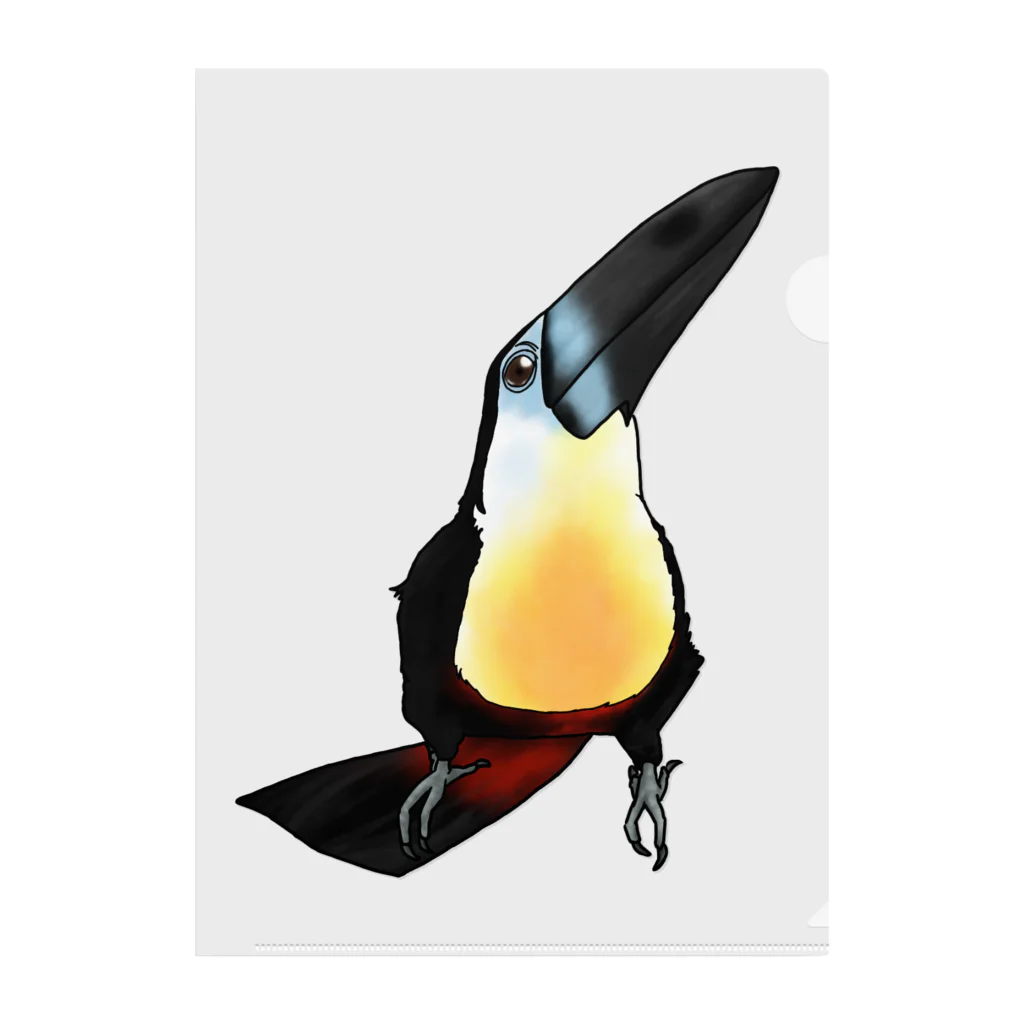 Lily bird（リリーバード）のキリッ✨ヒムネオオハシ クリアファイル