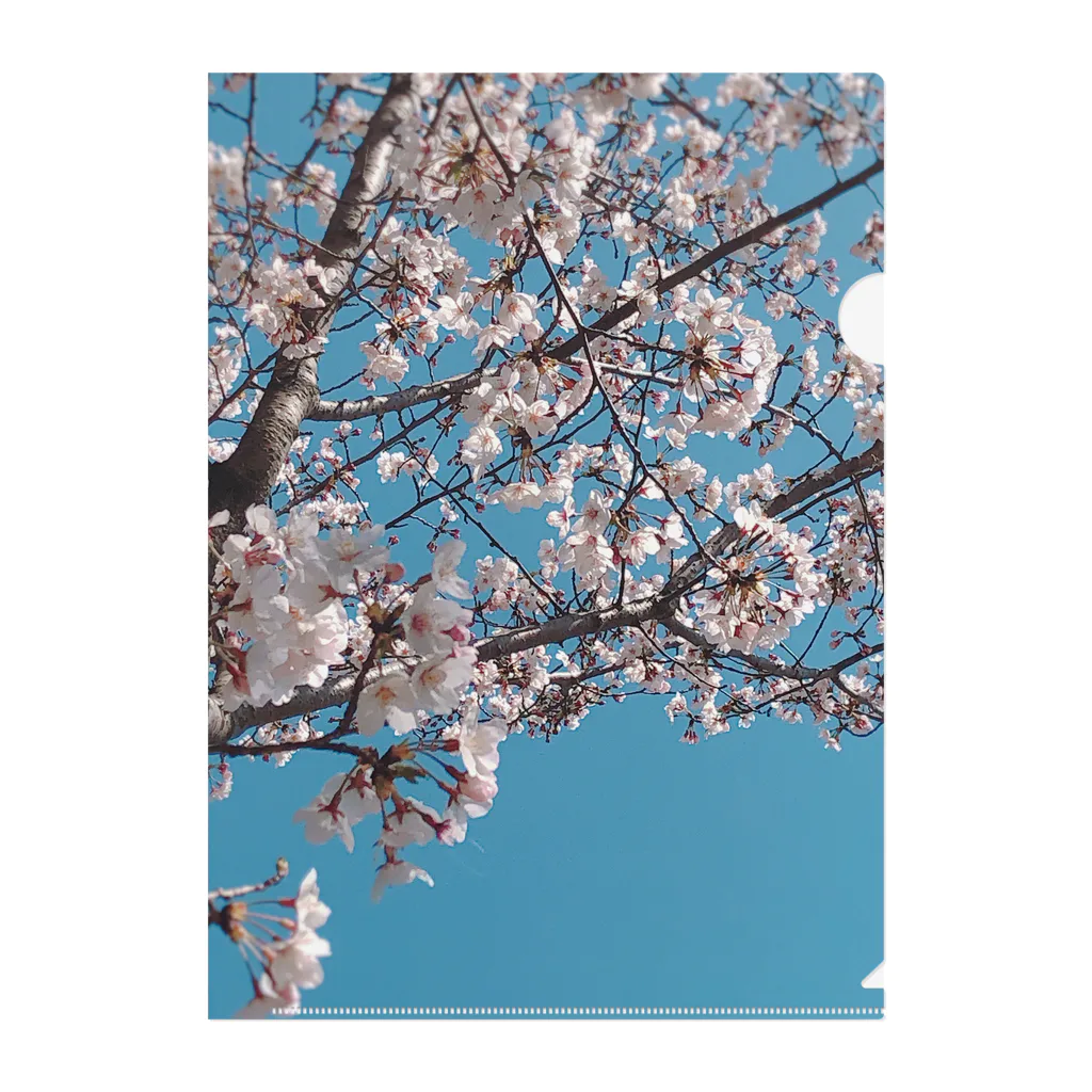 Aloha Blue SkyのSakura Clear File Folder