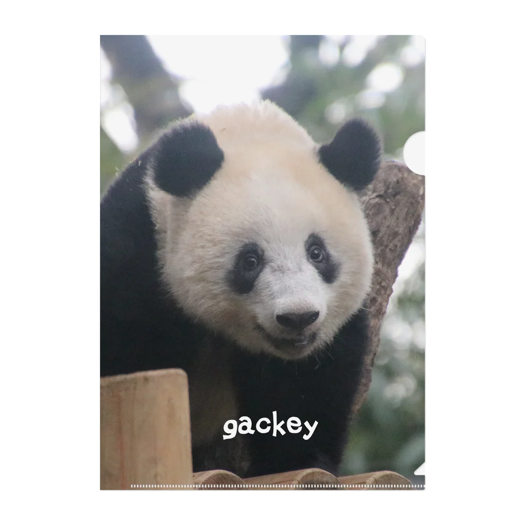 gackeyのおはなし PANDA クリアファイル