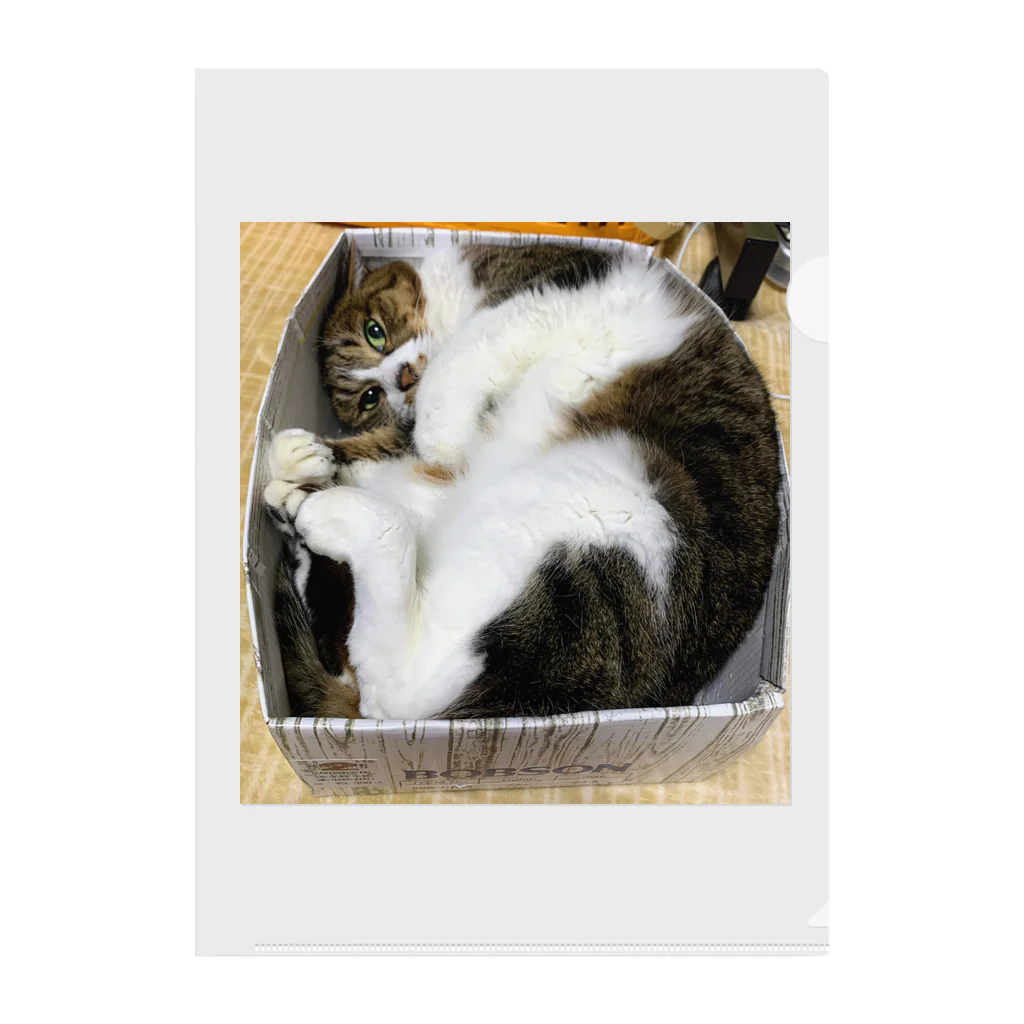 猫のhananyanのむちっパート2 Clear File Folder