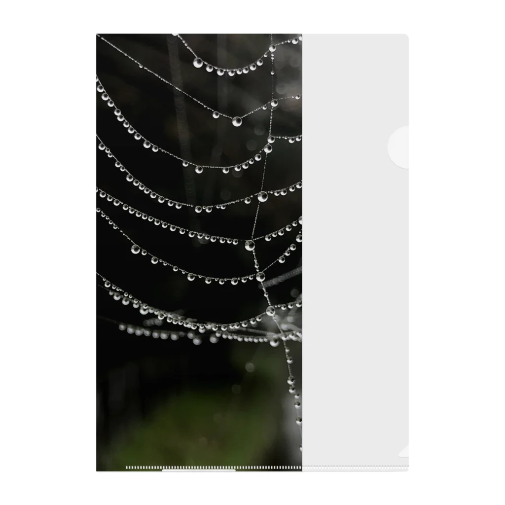 Simprick26のspiderweb drop Clear File Folder