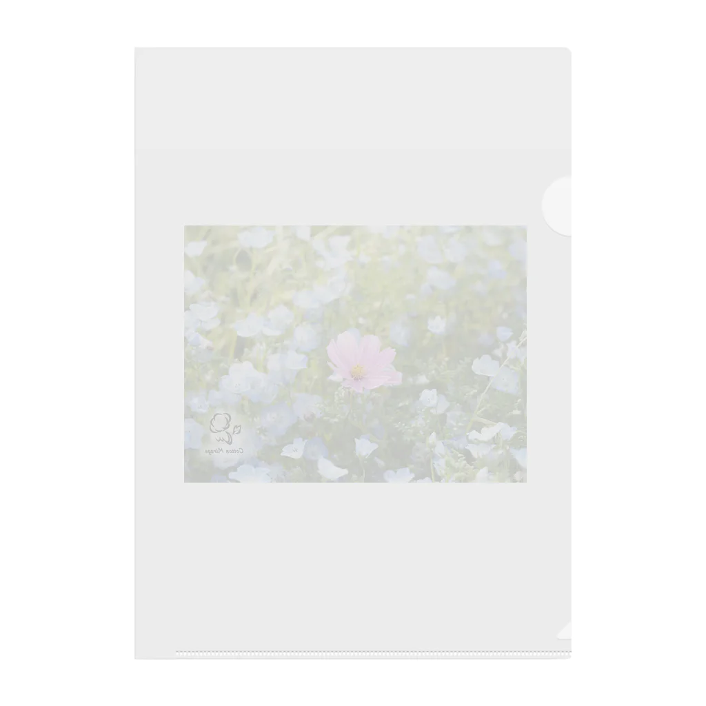 Cotton Mirageのネモフィラの中の秋桜 Clear File Folder