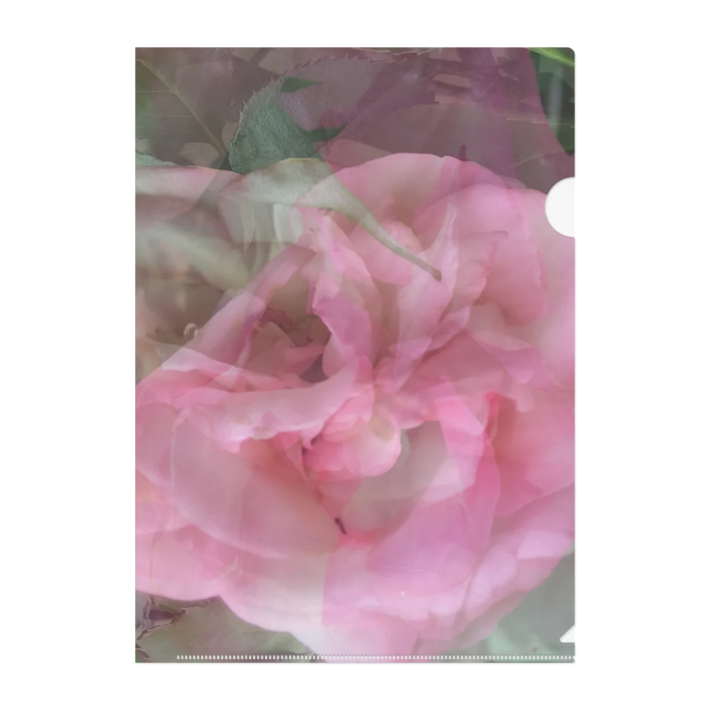 PINKMANの薔薇 Clear File Folder