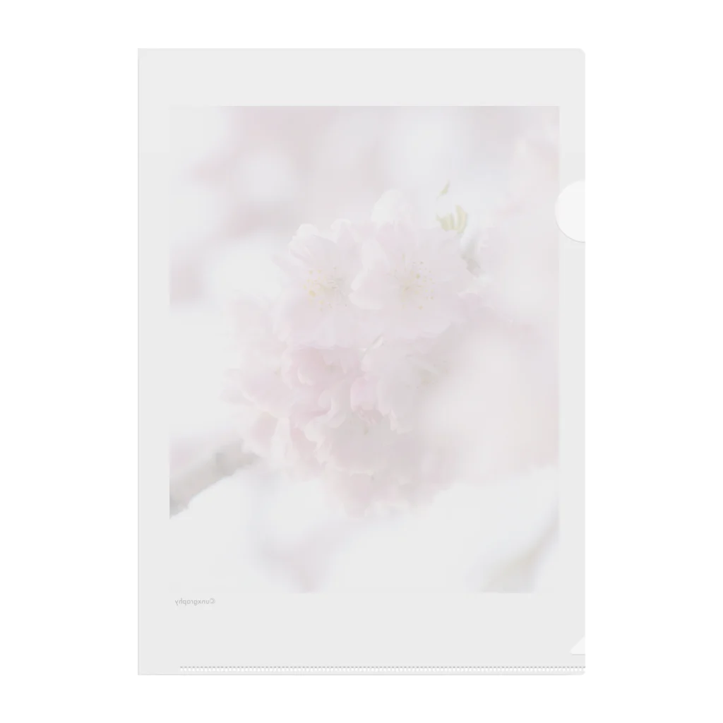 unxgraphyのSAKURA 1 Clear File Folder