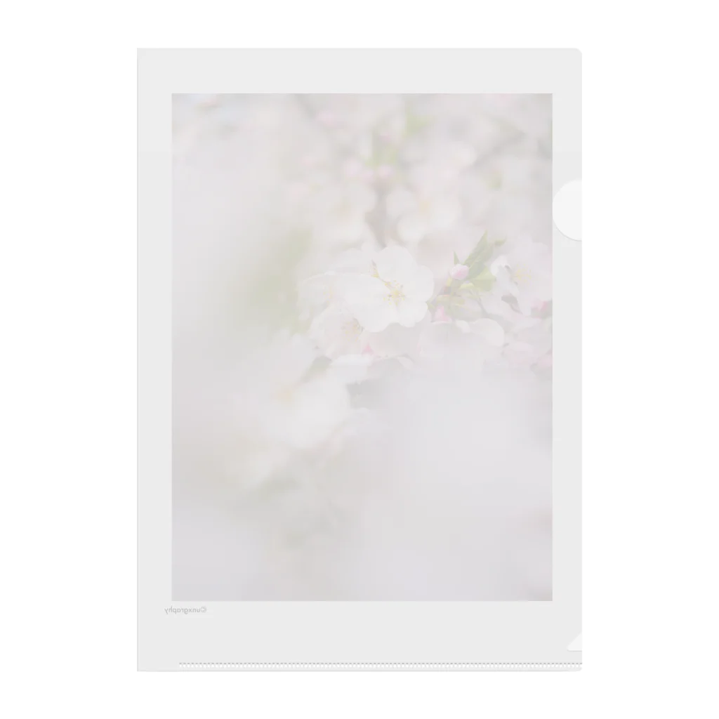 unxgraphyのSAKURA 2 Clear File Folder