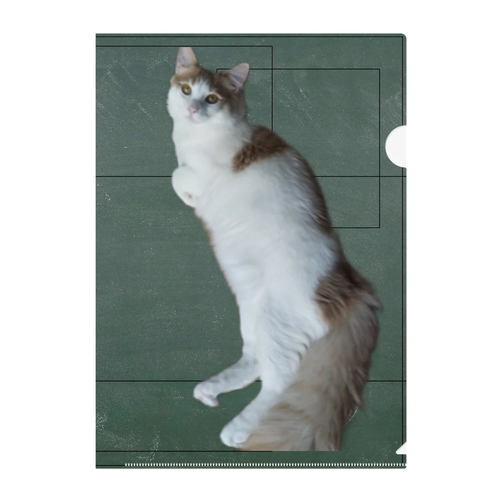 堅と柔の化猫モモタロウシリーズ Clear File Folder