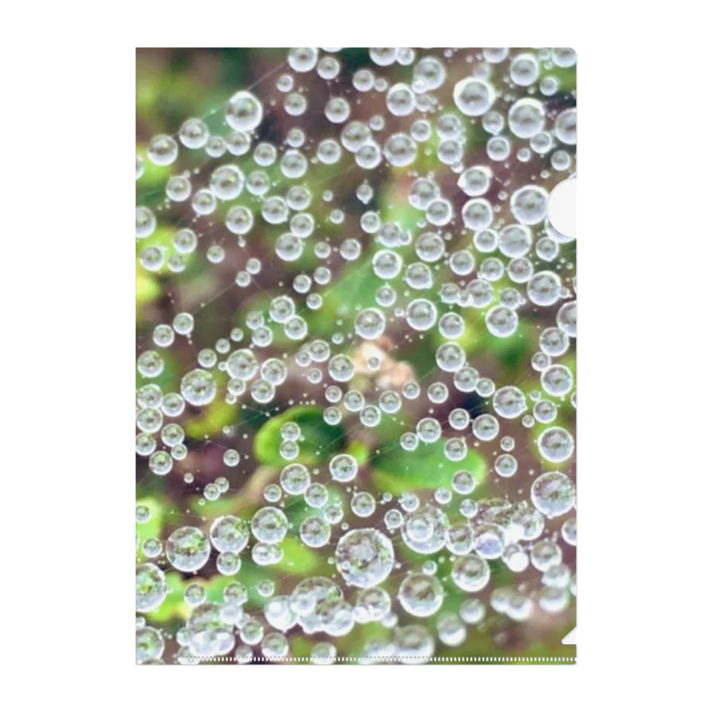 GreenTrexの蜘蛛の巣についた水滴デザイン クリアファイル