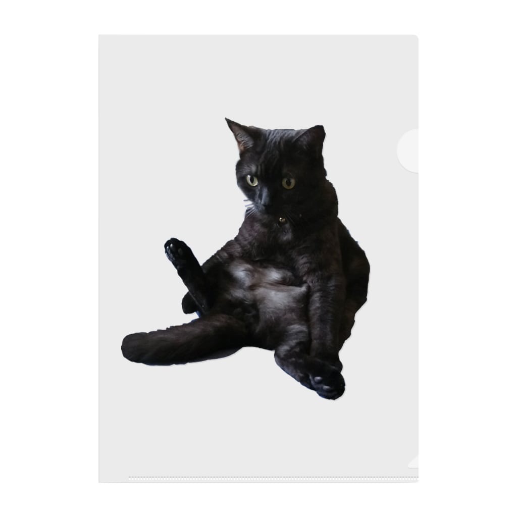 座る黒猫やまと ねむたいshop Nemutai 1006 のクリアファイル通販 Suzuri スズリ