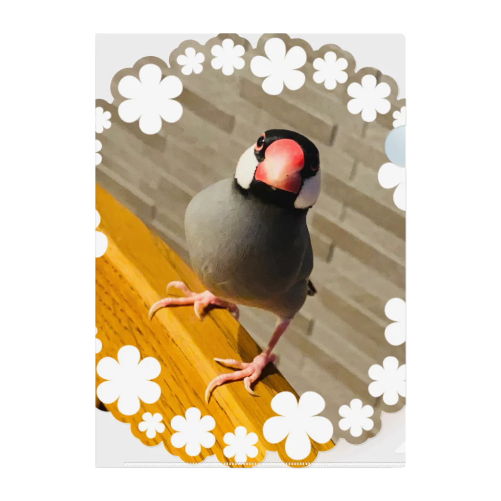 推しのある人生をの文鳥のはるさめちゃん クリアファイル