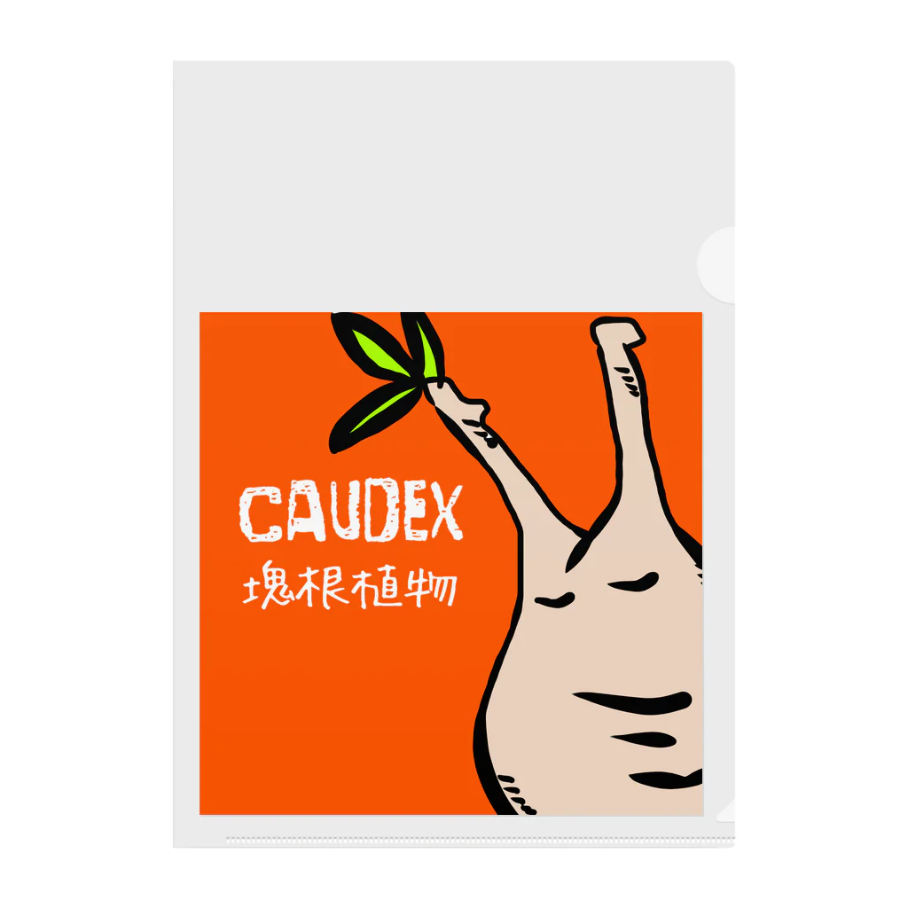 パキポキさんのcaudex  Clear File Folder