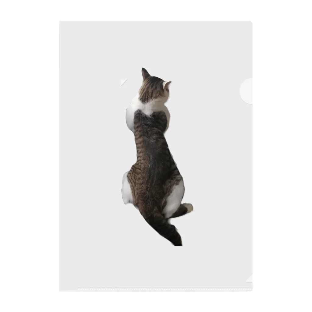 26giのぺたんねこ Clear File Folder