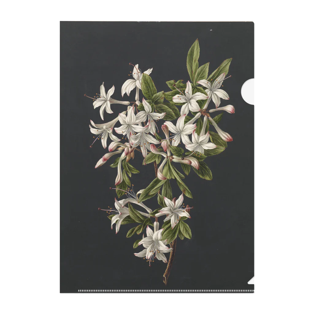 The Netherlands paintingのflora Clear File Folder