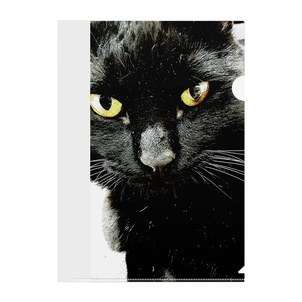 黒木さんちの黒猫の黒木さんちの黒猫Ｂ Clear File Folder